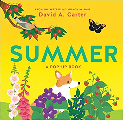 Summer: A Pop-Up Book indir