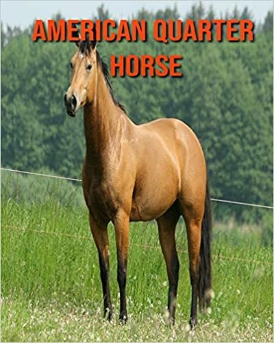 American Quarter Horse: Amazing Pictures and Facts About American Quarter Horse