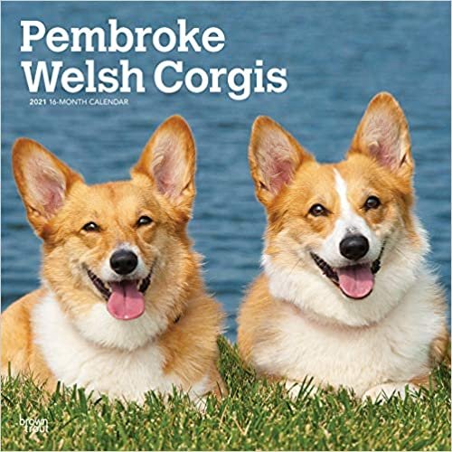 Pembroke Welsh Corgis 2021 - 18-Monatskalender mit freier DogDays-App: Original BrownTrout-Kalender [Mehrsprachig] [Kalender] indir