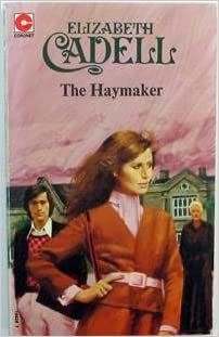 The Haymaker (Coronet Books)