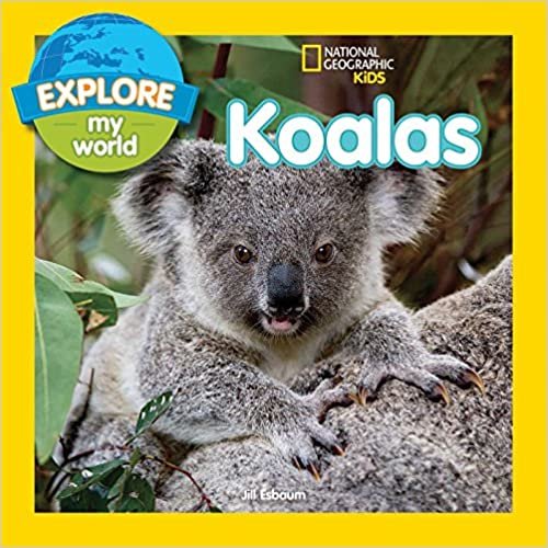 Explore My World Koalas indir