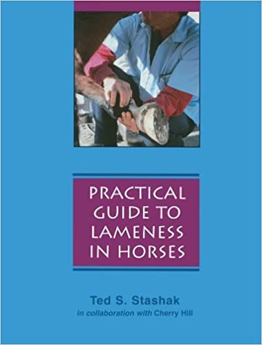 A Practical Guide to Lameness in Horses indir