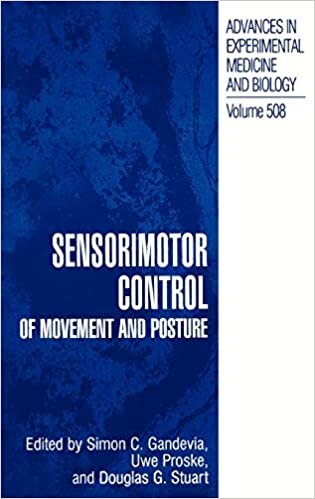 Sensorimotor Control of Movement and Posture (Advances in Experimental Medicine and Biology (508), Band 508) indir