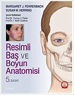 Resimli Baş ve Boyun Anatomisi