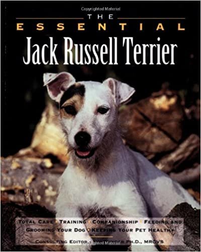 The Essential Jack Russell Terrier (The Essential Guides)