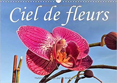Ciel De Fleurs 2017: Beaute Des Fleurs Sous Un Angle Different. (Calvendo Nature) indir