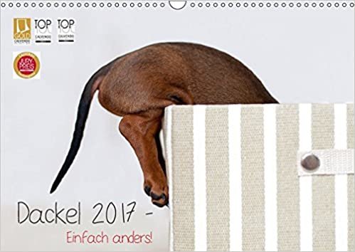 Dackel 2017 - Einfach anders! (Wandkalender 2017 DIN A3 quer): Dackel sind anders, Dackel sind Kult! (Monatskalender, 14 Seiten ) (CALVENDO Tiere) indir