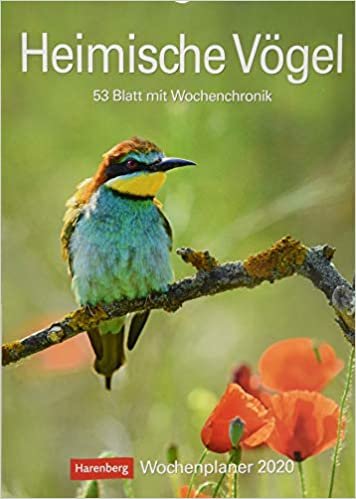 Heimische Vögel  - Kalender 2020