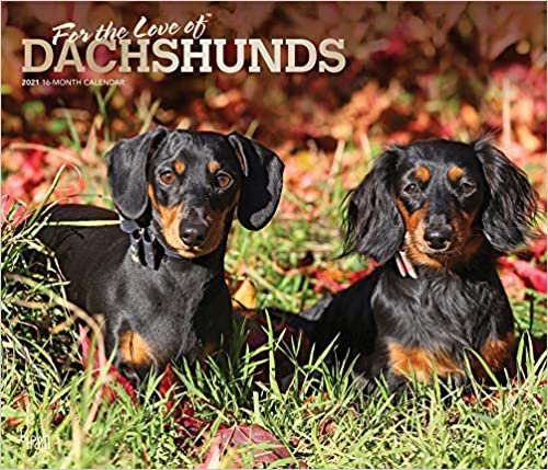 Dachshunds – For the love of 2021 – Dackel – 16-Monatskalender mit freier DogDays-App: Original BrownTrout-Kalender - Deluxe [Mehrsprachig] [Kalender] (Deluxe-Kalender) indir