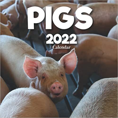 Pigs 2022 Calendar: A Monthly and Weekly 12 Months Calendar 2022 With Pictures of the Pigs For Desk, Office to Write in Appointment, Birthday, Events ... Ideas For Men, Women, Girls, Boys in Bulk
