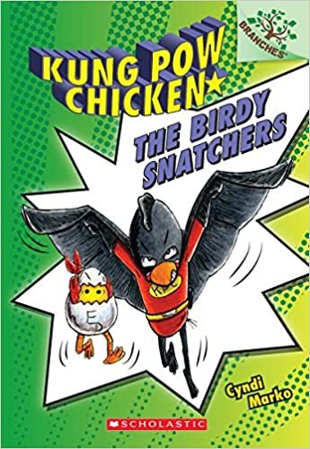 The Birdy Snatchers (Kung Pow Chicken)