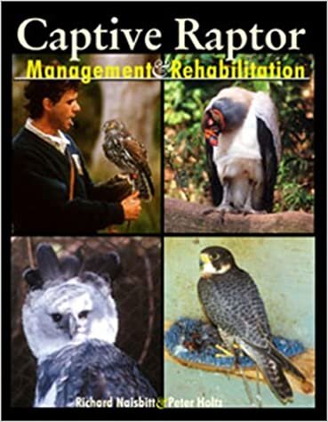 Captive Raptor: Management & Rehabilitation: Management and Rehabilitation