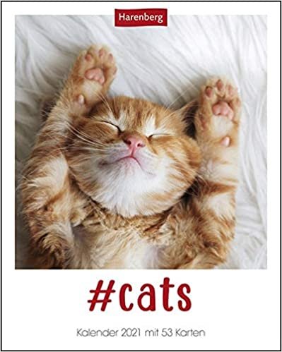 #cats Postkartenkalender 2021 - Tischkalender mit Wochenkalendarium - 53 perforierte Postkarten zum Heraustrennen - zum Aufstellen oder Aufhängen - Format 12 x 15 cm indir