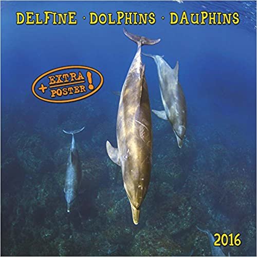 Delfine - Dolphins - Dauphins 2020 Artwork