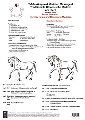 Feuer Element 1. Herz und Dünndarm Meridian.: AMM und TCM am Pferd