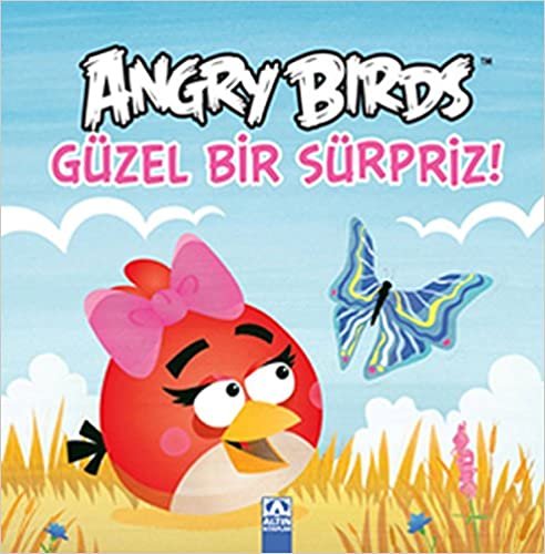 Angry Birds Güzel Bir Sürpiz: Karton Kitap