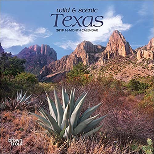 Wild & Scenic Texas 2019 Calendar indir