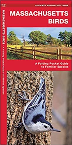 Massachusetts Birds: A Folding Pocket Guide to Familiar Species (Pocket Naturalist Guide Series)
