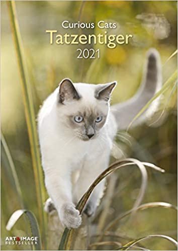 Tatzentiger 2021 - Wand-Kalender - Katzen-Kalender - A&I 29,7x42: Curious Cats indir