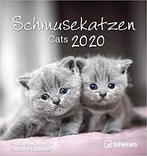 Cats 2020 Postcard Calendar indir