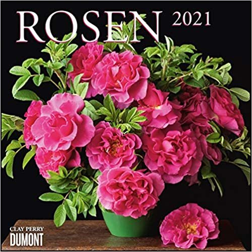 Rosen 2021 ‒ Broschürenkalender ‒ Format 30 x 30 cm