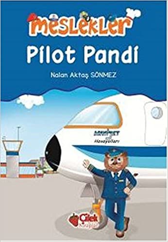 Meslekler  Pilot Pandi