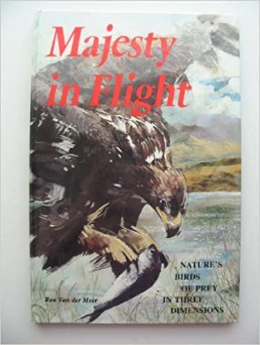 Majesty in Flight: Nature's Birds of Prey in Three Dimensions