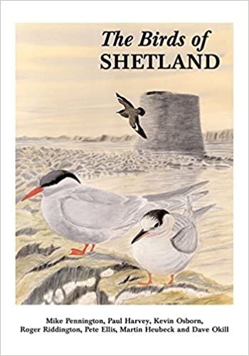 The Birds of Shetland (Helm County Avifauna)