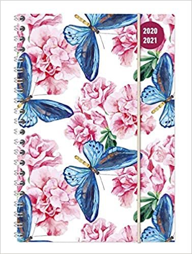 Collegetimer Butterfly 2020/2021 - Schüler-Kalender A5 (15x21 cm) indir