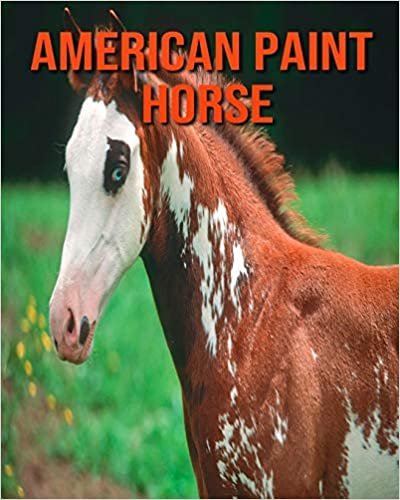 American Paint Horse: Amazing Photos & Fun Facts Book About American Paint Horse For Kids