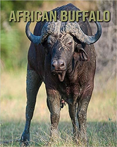 African buffalo: Children Book of Fun Facts & Amazing Photos