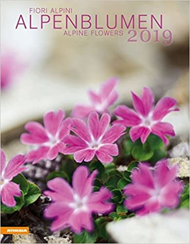Alpenblumen Kalender 2019