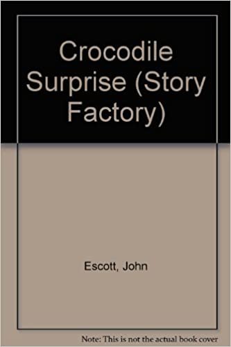 Crocodile Surprise (Story Factory S., Band 5)