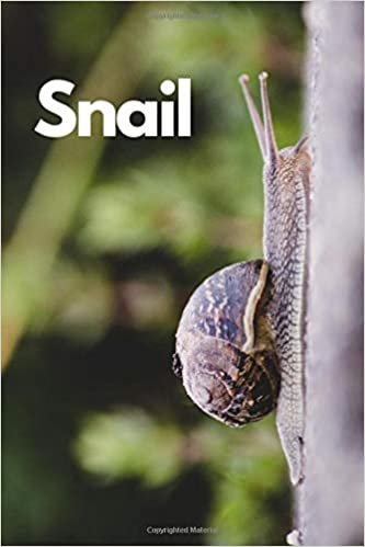 Snail: Animal Notebook for Coloring Drawing and Writing (110 Pages, Unlined, 6 x 9) (Animal Notebook)