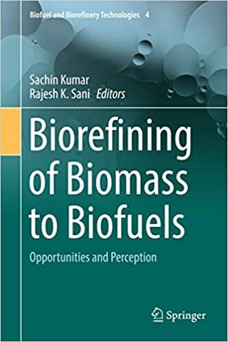 Biorefining of Biomass to Biofuels: Opportunities and Perception (Biofuel and Biorefinery Technologies (4), Band 4)
