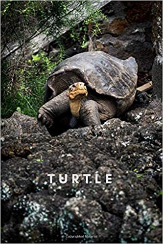 TURTLE: Notebook, Journal, Diary (110 Pages, Unlined, 6 x 9) (Animal Notebook) indir