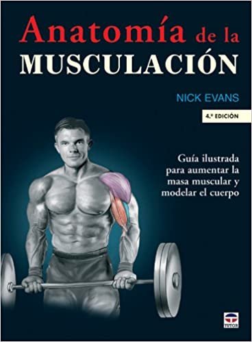 Anatomía de la musculación (En Forma (tutor))