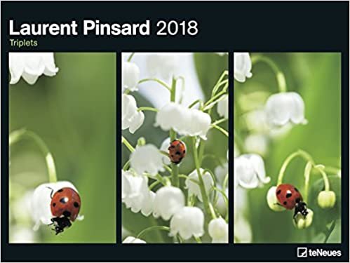 2018 Laurent Pinsard Poster Calendar- teNeues Photography Calendar- 64 x 48 cm