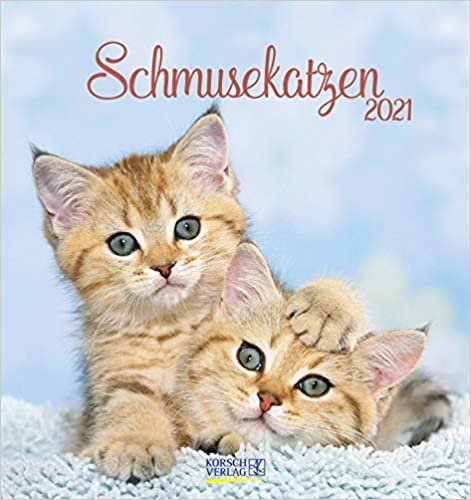 Schmusekatzen 2021: aufstellbarer Postkartenkalender