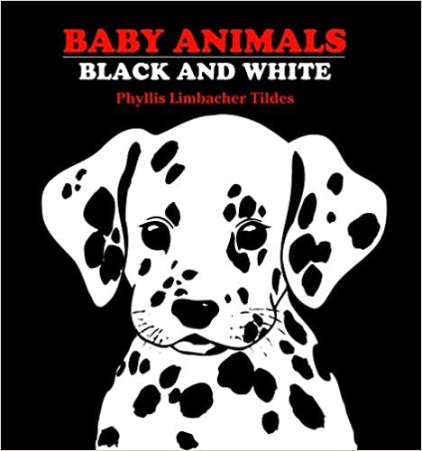 Baby Animals Black and White indir