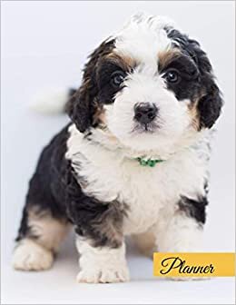 2021-2022 18 Months Planner: Monthly and Weekly Calendar with Birthday Reminder & Contacts, Organizer for Animal Lovers & Pet Rescue Volunteers, Gift ... & Dogs Fans – Cute Puppy, Funny Bernedoodle