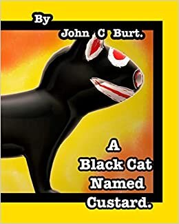 A Black Cat Named Custard.