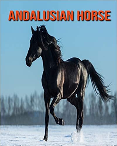 Andalusian Horse: Beautiful Pictures & Interesting Facts Children Book About Andalusian Horse