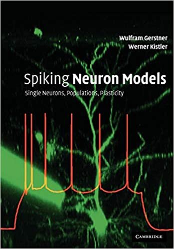 Spiking Neuron Models: Single Neurons, Populations, Plasticity indir