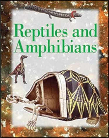 Reptiles and Amphibians: Set 3 (Explorers): Set Three
