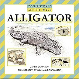 Alligators (Zoo Animals In The Wild, Band 9) indir
