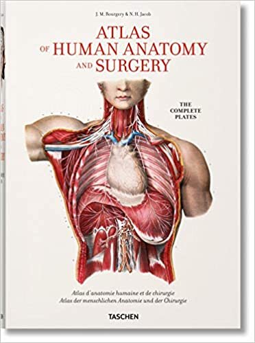 Bourgery: Atlas of Human Anatomy and Surgery (Fp)