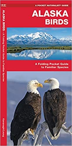 Alaska Birds: A Folding Pocket Guide to Familiar Species (Pocket Naturalist Guide Series)