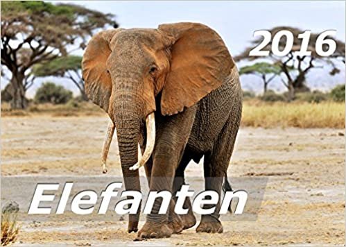 Elefanten 2016 Kalender (DIN A3): Elefantenleben in Afrika indir