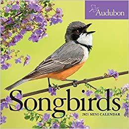 Audubon Songbirds 2021 Calendar